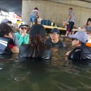 밀양표충오토캠핑장 이미지