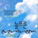 애버그린 이미지