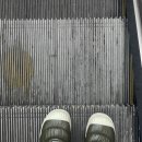 알사코리아 이미지