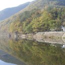 알프스관광펜션 이미지