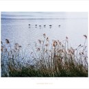 ‘한강’ 산책 이미지