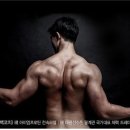 스포티아
