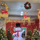 숲속애어린이집 | [경기도/고양] 겨울방학에 가기 좋은 캠크닉 장소 '데이캠파크 고양점'