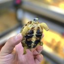 이명 태양광발전소 이미지