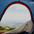 청포대숲속야영장 네이버블로그