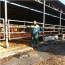 자영목장 이미지