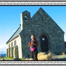 선한목자교회 이미지