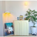 시랑이랑 이미지