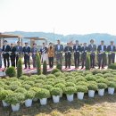 고마센터 이미지