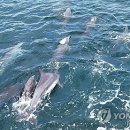 큰무리어촌계 이미지