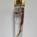 아랫도리 이미지