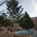 금봉칼국수 이미지