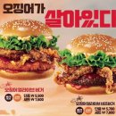 오징어를찾는사람들 이미지