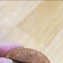 청솔로 9 경산점 이미지