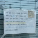 일출언덕신산게스트하우스 | 강원도 여자 혼자 여행, 묵호 첫 번째 이야기 (대구 ➡️ 묵호) + 1일차 경비