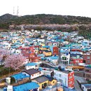 청학1동-6 이미지