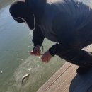 인산낚시터 이미지