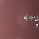 목동제일교회 이미지