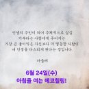 에코건강