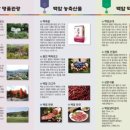백암-8 이미지