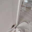 25년도 결혼준비 현실 - 부산 도배 업체 추천(도배지오 후기)