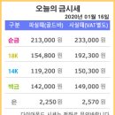 롤로안산 이미지