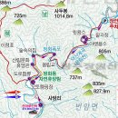 용소숲속민박
