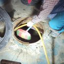 강남대로3-7 이미지