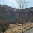 가족소풍캠핑장 | 공기 맑고 시원한 단양 소풍캠핑장 만족 후기