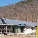 수현목장 이미지