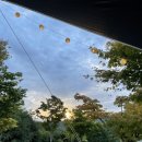 보개원삼로L | 용인 &#39;용인 단풍숲 캠핑장&#39; 넓은 사이트와 큰 캠핑장 추천 l 호랑이 사이트 이용 후기 TIP