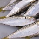 제철별미 이미지