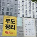 [평택] ppo 부도정리 세일템 구매 후기 (브랜드,가격)
