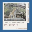 형제조류 | 호랑이와 사자도 천 원에 만나는 청주 가볼만한곳, 청주랜드 동물원 솔직 후기