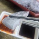 송우막썰어회집 | 석남역맛집 막썰어주는횟집 솔직후기 신선함이 다했다!