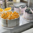 피코 | 인천 논현동 카페 | 생과일이 듬뿍 올라간 로얄피코 케이크 솔직후기 🍰