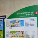 (주)경북정비 | ​[경북 아이와 가볼만한곳] 설 연휴 추천 성주과일어린이과학체험관 &amp;근처 아이랑 갈만한 곳🍓🍋