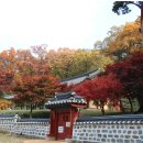 공주-02 이미지