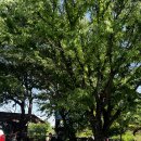 운주목장 이미지