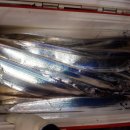 1대물호 이미지