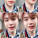 스타라이브 Daum카페