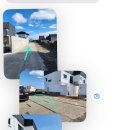 종달차경(메리골드) 이미지