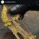 연수로3길 이미지