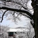 2009년 1월 4일 (첫) 김제 모악산(금산사) 신년 산행 이미지