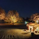 충주 반딧불 오토 캠핑장 이미지