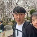 경화어시장 이미지