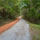 장동산림욕장 이미지