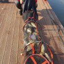 송말낚시터 이미지