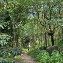 문헌농장 이미지