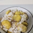 밤산농원 | 유기농 부여밤 산골농원알밤 무농약 깐밤